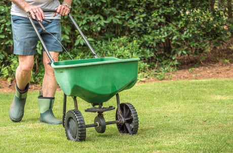 Lawn Fertilizer