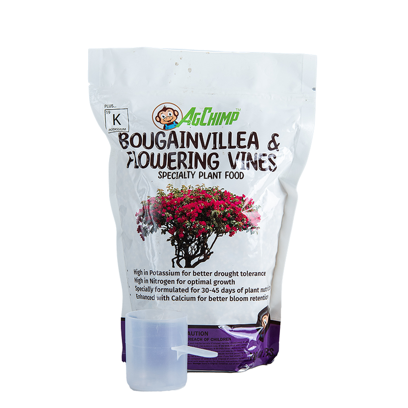 Bouganvillea & Flowering Vines