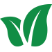 Broadleaf Weed