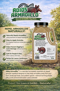 AdiosArmadillo thumbnail 2