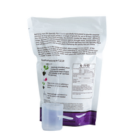 Fern Mix thumbnail 2