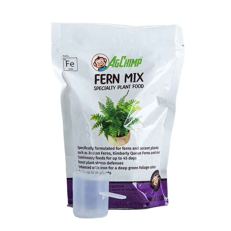 Fern Mix