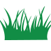 Grassy Weed