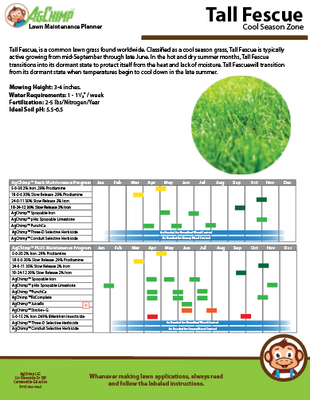 Maintenance Program 2