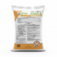 Strobe G thumbnail 1