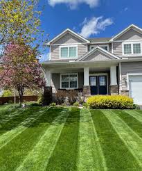 Kentucky Bluegrass image 3